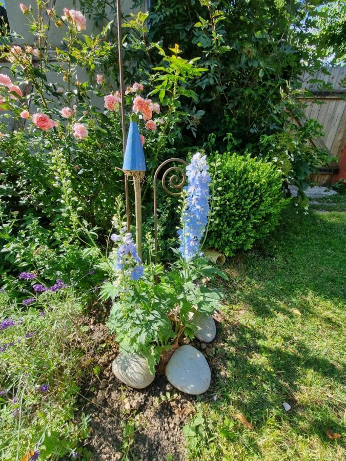 Ankommen, Wohlfuehlen Und Die Natur Geniessen Lichtenhain  Bagian luar foto